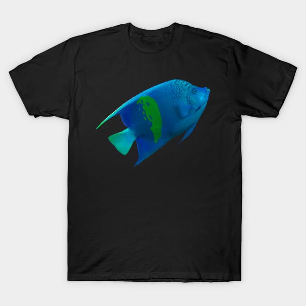 angelfish T-Shirt by likbatonboot